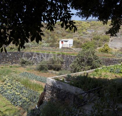 Casa Medianeros - Las Dulces