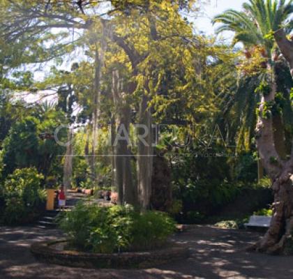 Jardín de Aclimatación de La Orotava 