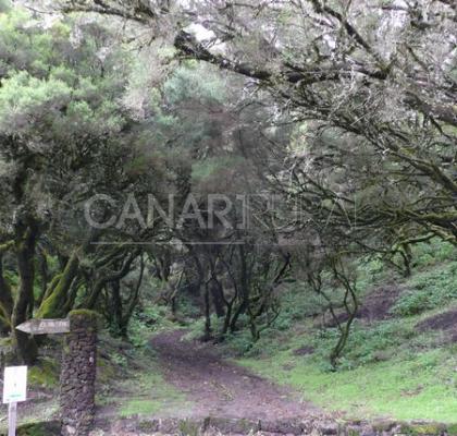 Camino de la Virgen