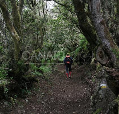 Camino de Sabinosa- La Dehesa