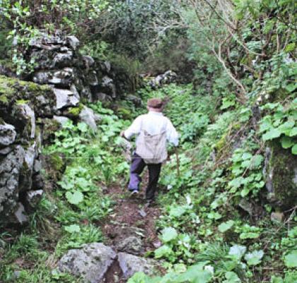 Camino de Sabinosa- La Dehesa