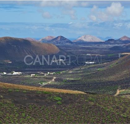 Paisaje protegido de La Geria