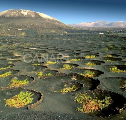 Paisaje protegido de La Geria