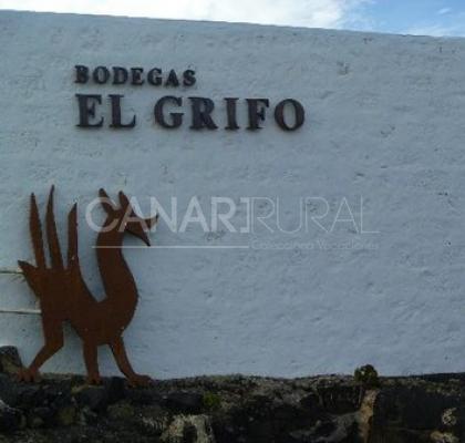 Casa Museo El Grifo