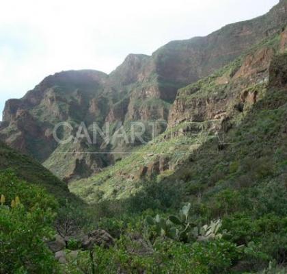 Barranco de Guayadeque 