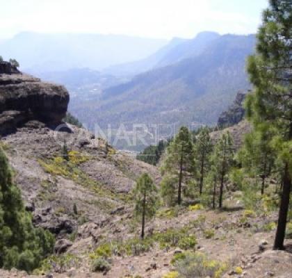 Monumento Natural Riscos de Tirajana