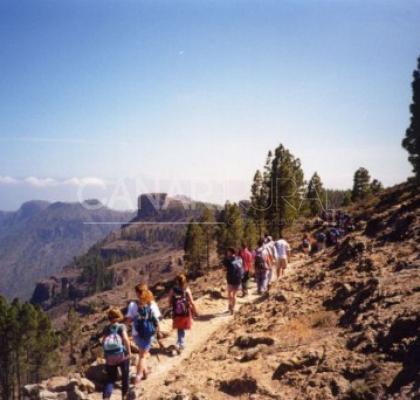 Parque Natural de Tamadaba