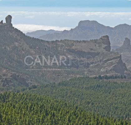 Parque rural del Nublo