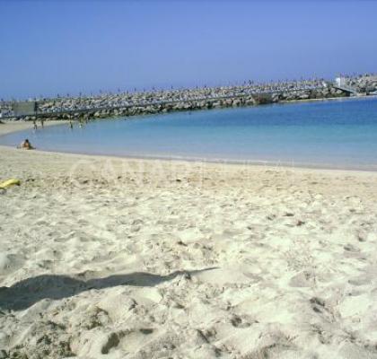 Playa de los Amadores