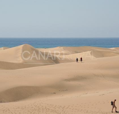 Playa de Maspalomas