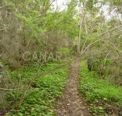 Reserva Natural Especial El Brezal