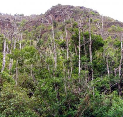 Reserva Natural Integral del Barranco Oscuro 