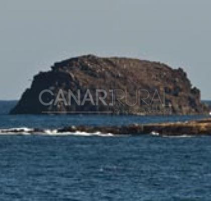 Sitio de Interés Científico Roque de Gando
