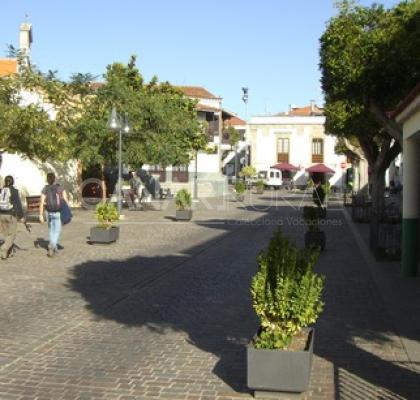 Valleseco
