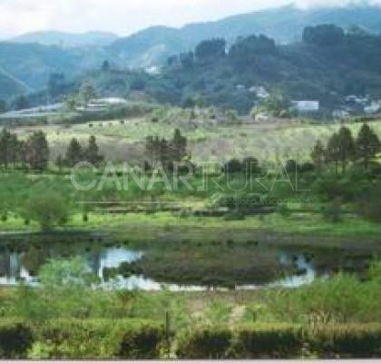 Valleseco