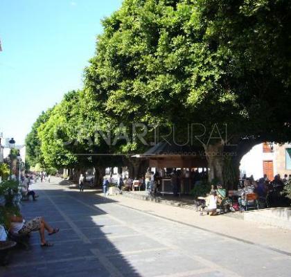 Los Llanos de Aridane