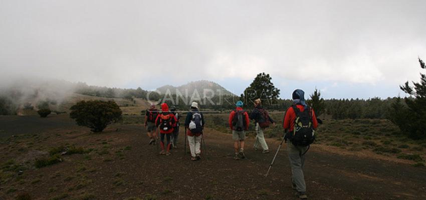 Camino de Sabinosa- La Dehesa