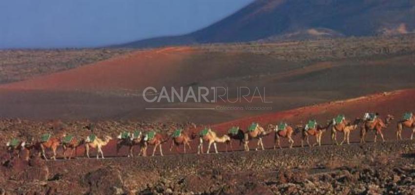 Parque Nacional de Timanfaya