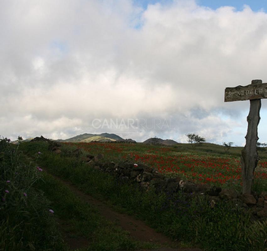 Camino de la Virgen